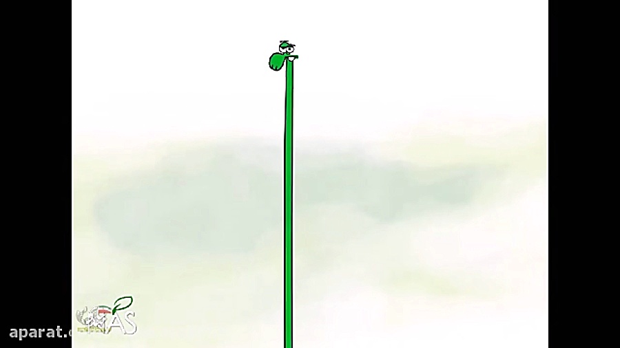 بخاری (دیرین دیرین)