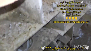 نمایشی از جوجه های گنجه جوجه ک...