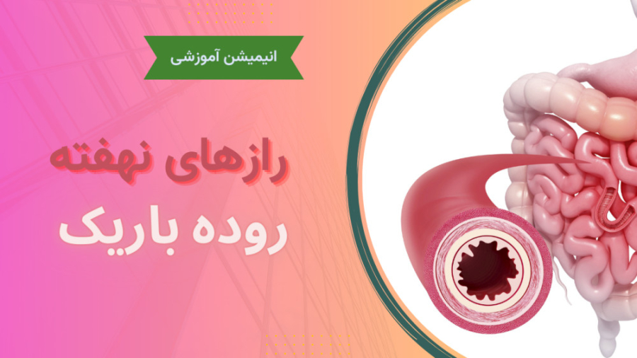 رازهای نهفته روده باریک