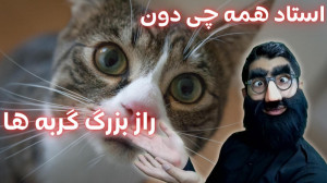 استاد همه چی دون  کشف بزرگ راج...
