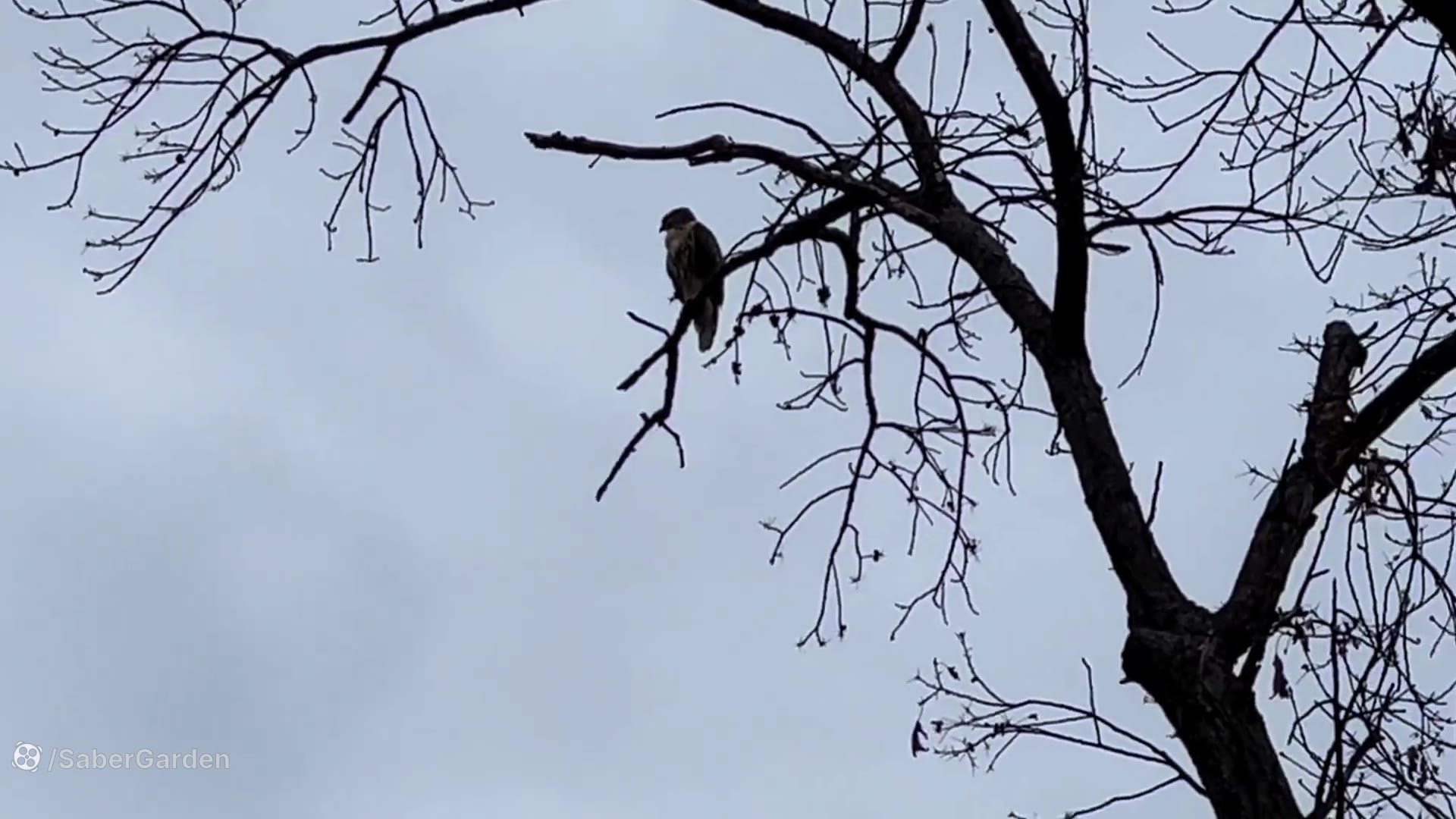 گشتی در آخرین روزهای سرسبز تاب...