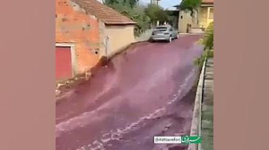 شکستن بشکه های شراب در پرتغال