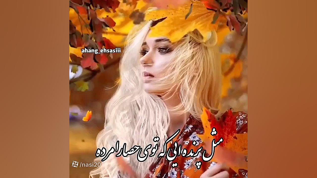 کلیپ عاشقانه برای استوری  دلم...