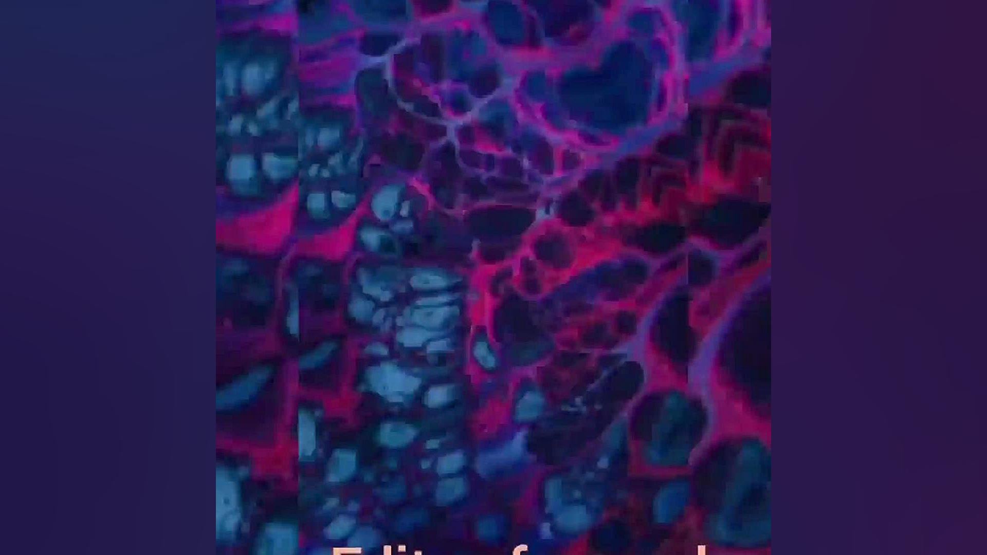 کلیپ خفن برای استوری