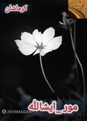 مور لکی ایشاالله