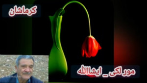 مور لکی ایشاالله۲