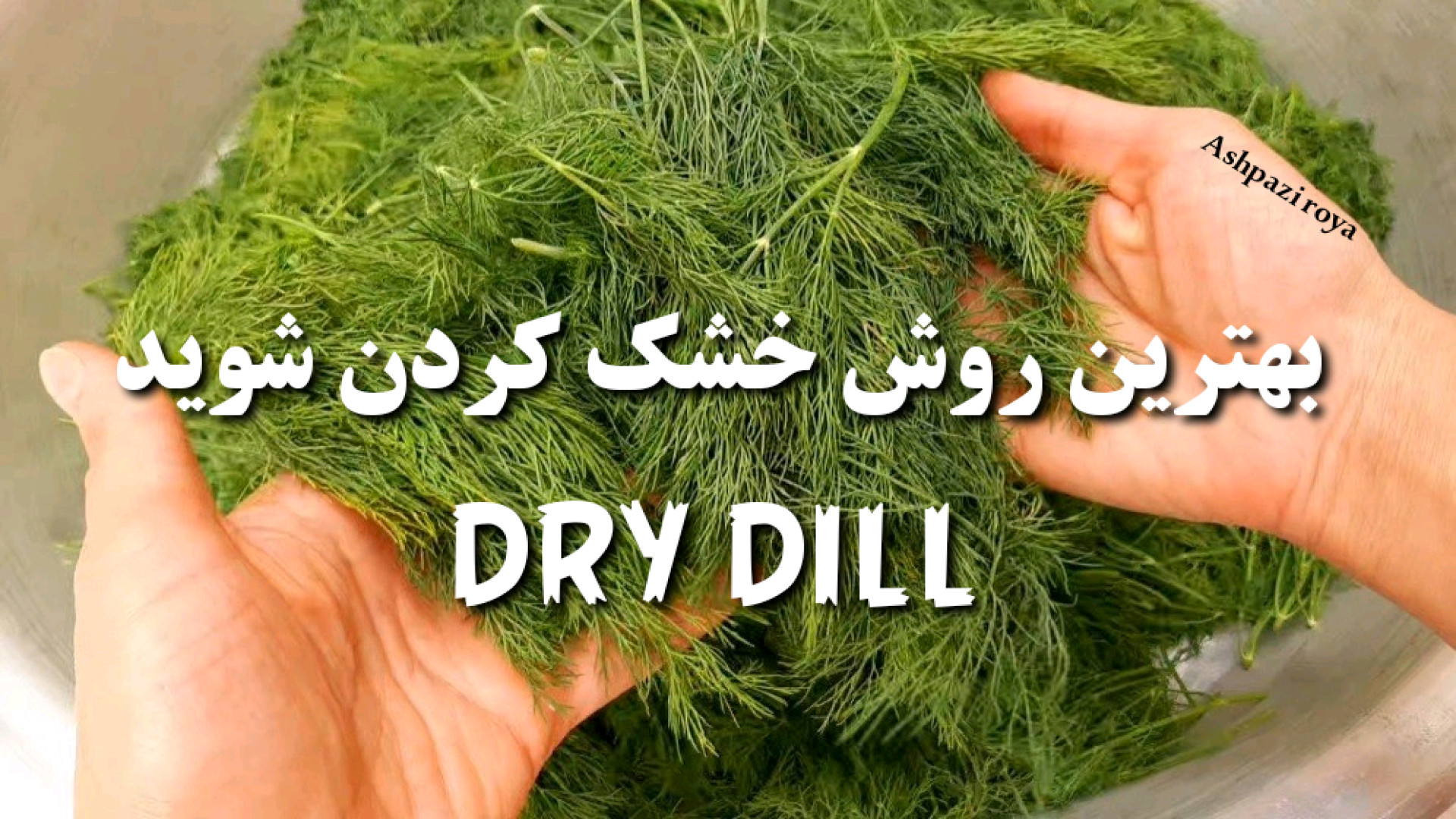 بهترین روش خشک کردن شوید شوید...