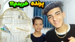 مرغ عشق خریدم؟! | آموزش دستی ک...