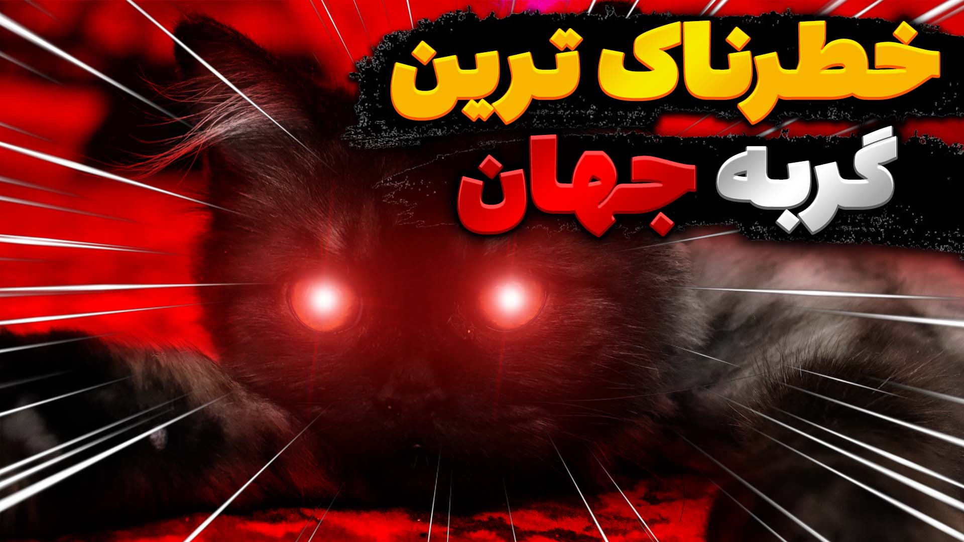 خشن ترین گربه ای که دیدم تو اس...