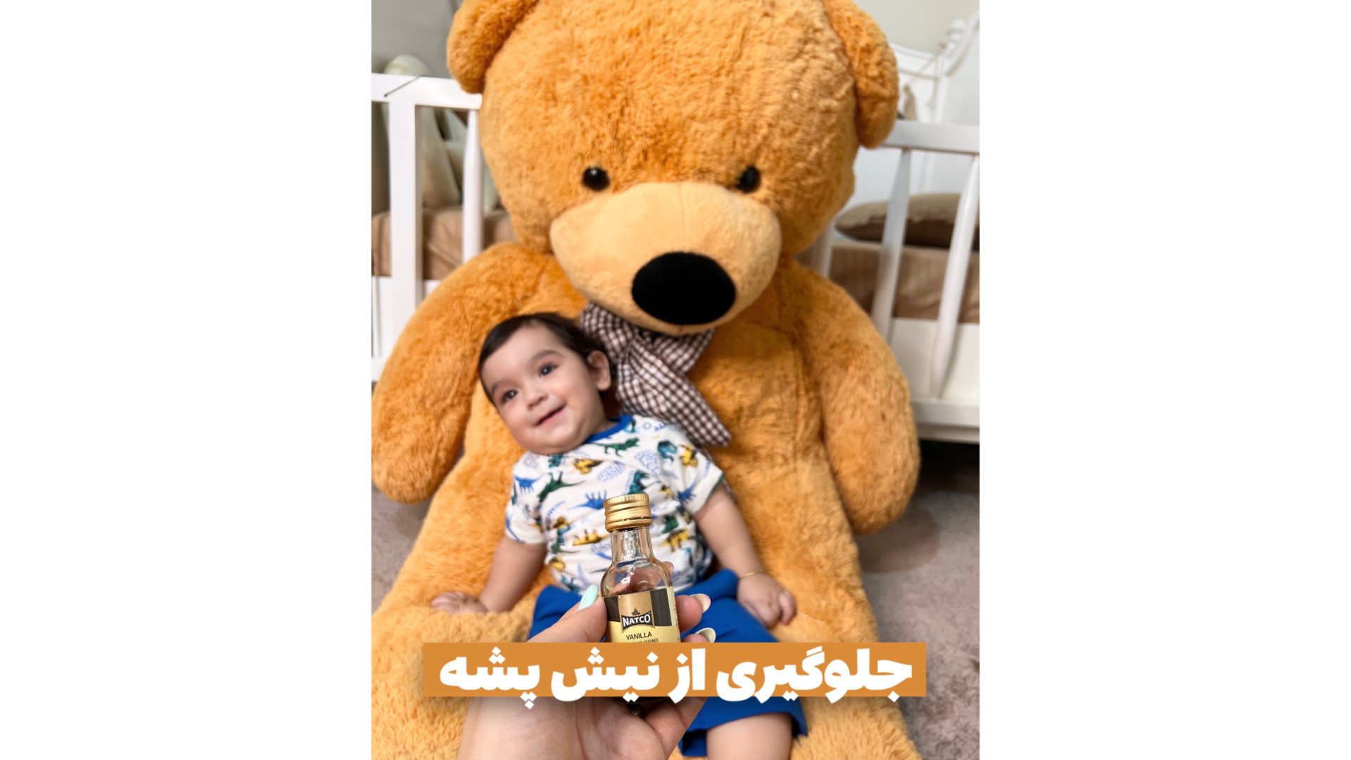 جلوگیری از گزیدگی پشه