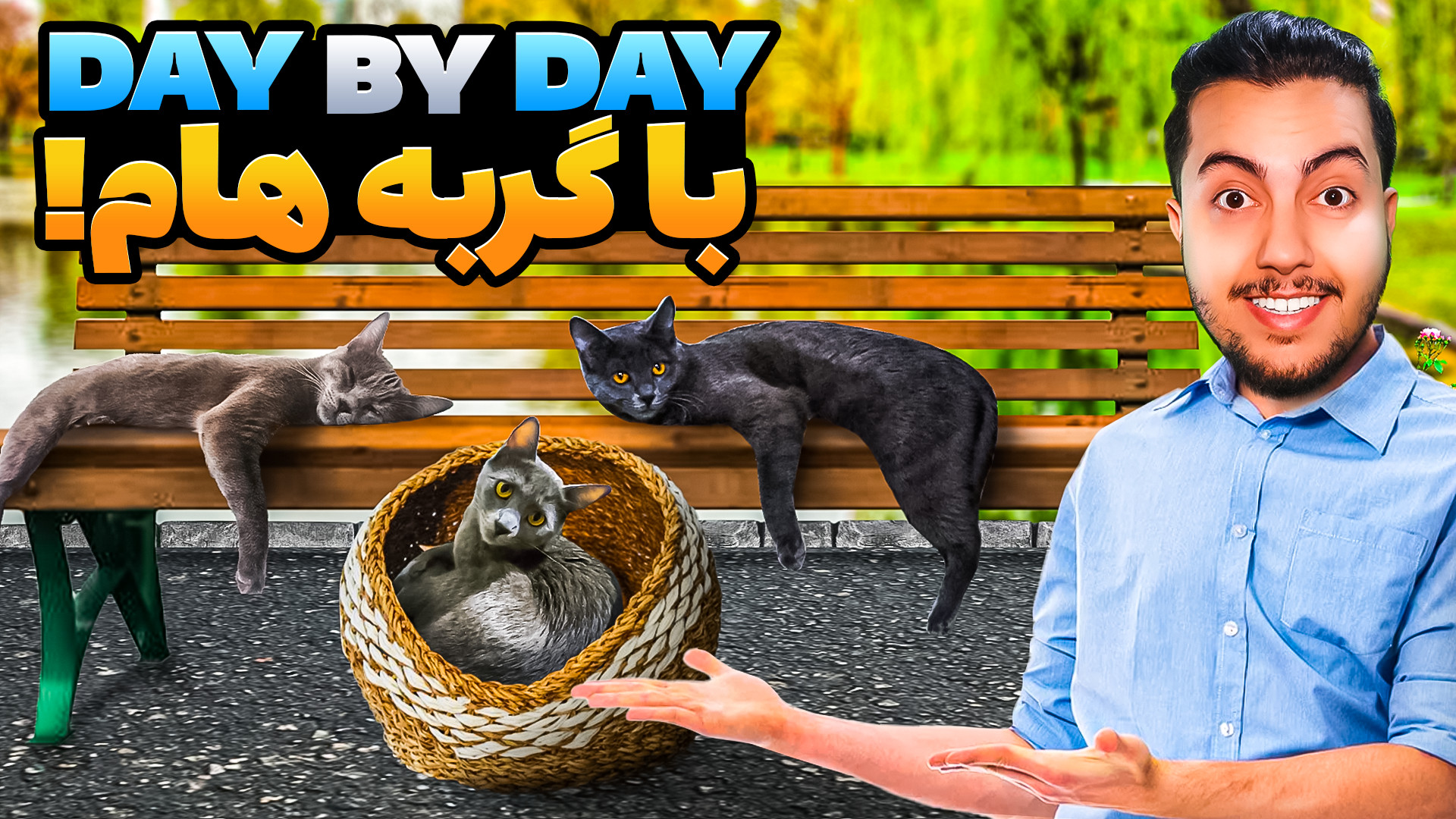 من و گربه هام  cats day by day