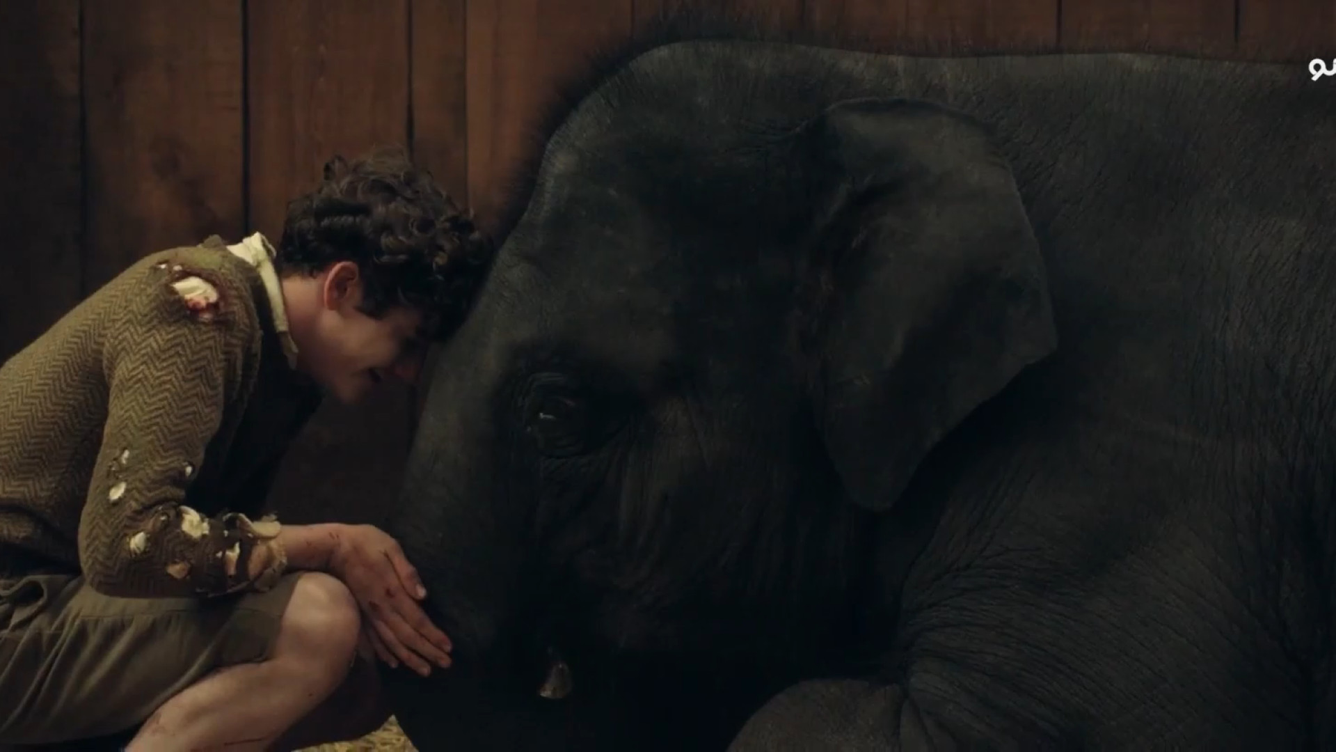 تریلر فیلم باغ وحش Zoo زمان122ثانیه