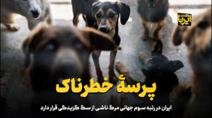 ایران در رتبه سوم جهانی مرگ ناشی از سگ گزیدگی قرار دارد ایران در رتبه سوم جهانی مرگ ناشی از سگ گزیدگی قرار دارد