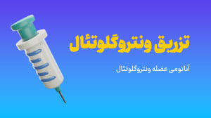 تزریق عصلانی در عضله ونتروگلوت...