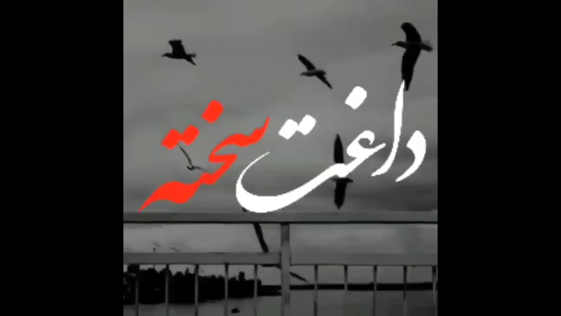 کلیپ خیلی غمگین داغت سخته | کل...