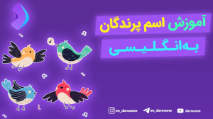 آموزش اسم پرندگان به انگلیسی
