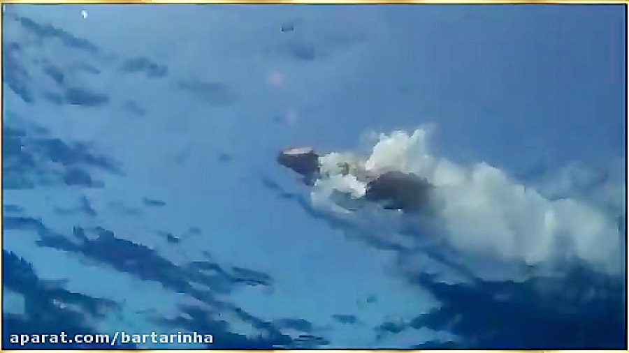 ویدیوی بسیار زیبای دوستی سگ و...