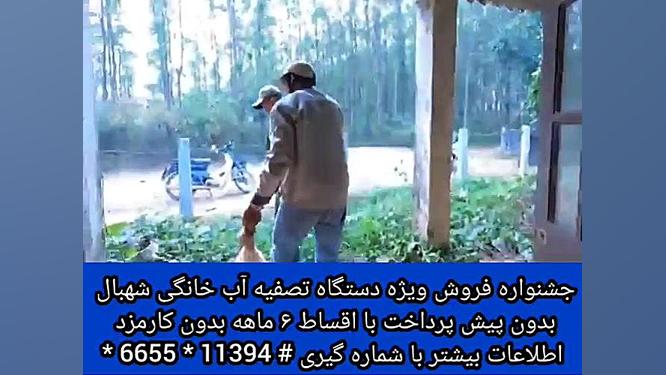 ببینید چند تا مار توی این خونه...