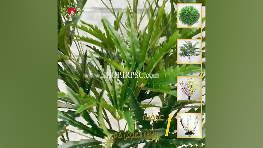 قیمت درختچه مصنوعی آپارتمانی طرح گراس پخش از فروشگاه ملی ارتفاع 170 ...