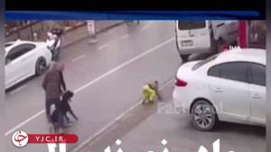 تنها گذاشتن کودک توسط مادر پس از مواجهه با حمله سگ تنها گذاشتن کودک توسط مادر پس از مواجهه با حمله سگ
