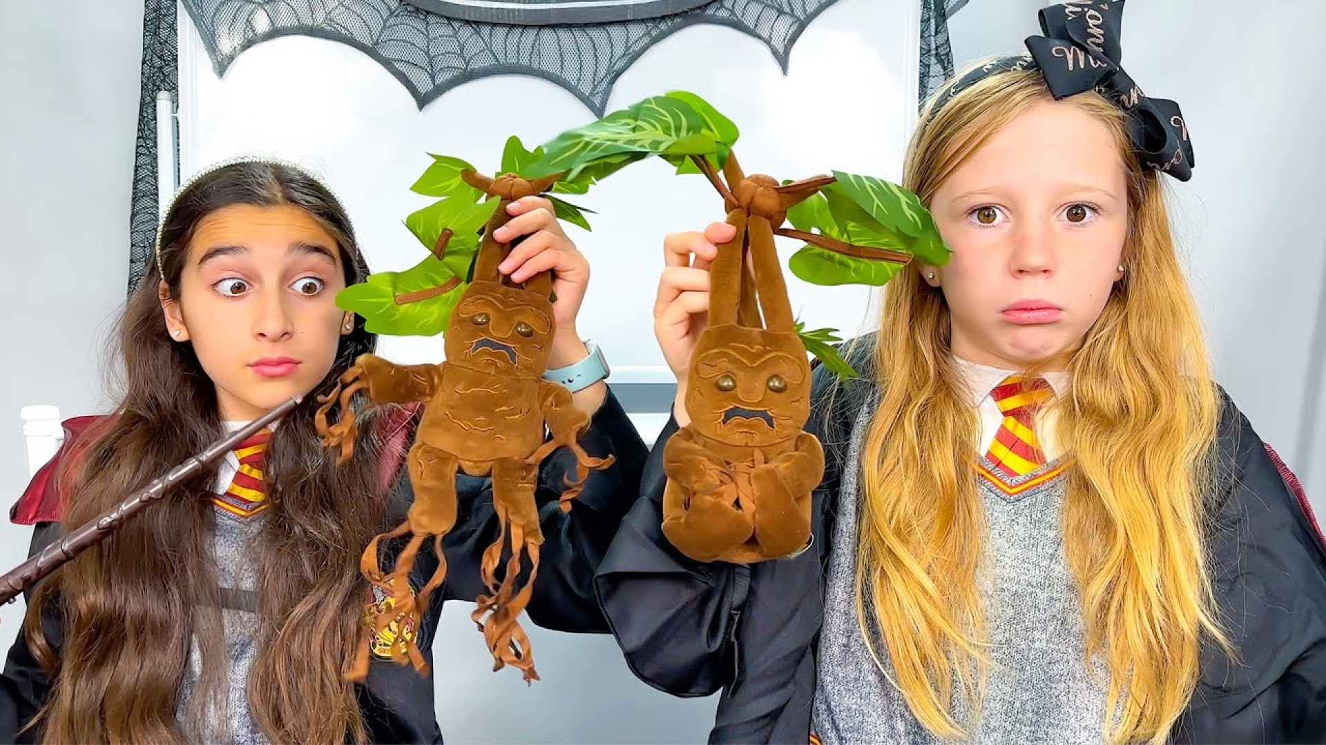 ناستیا و استیسی  ماجراهای ناست...