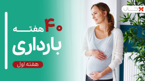 هفته اول بارداری  چهل هفته بار...