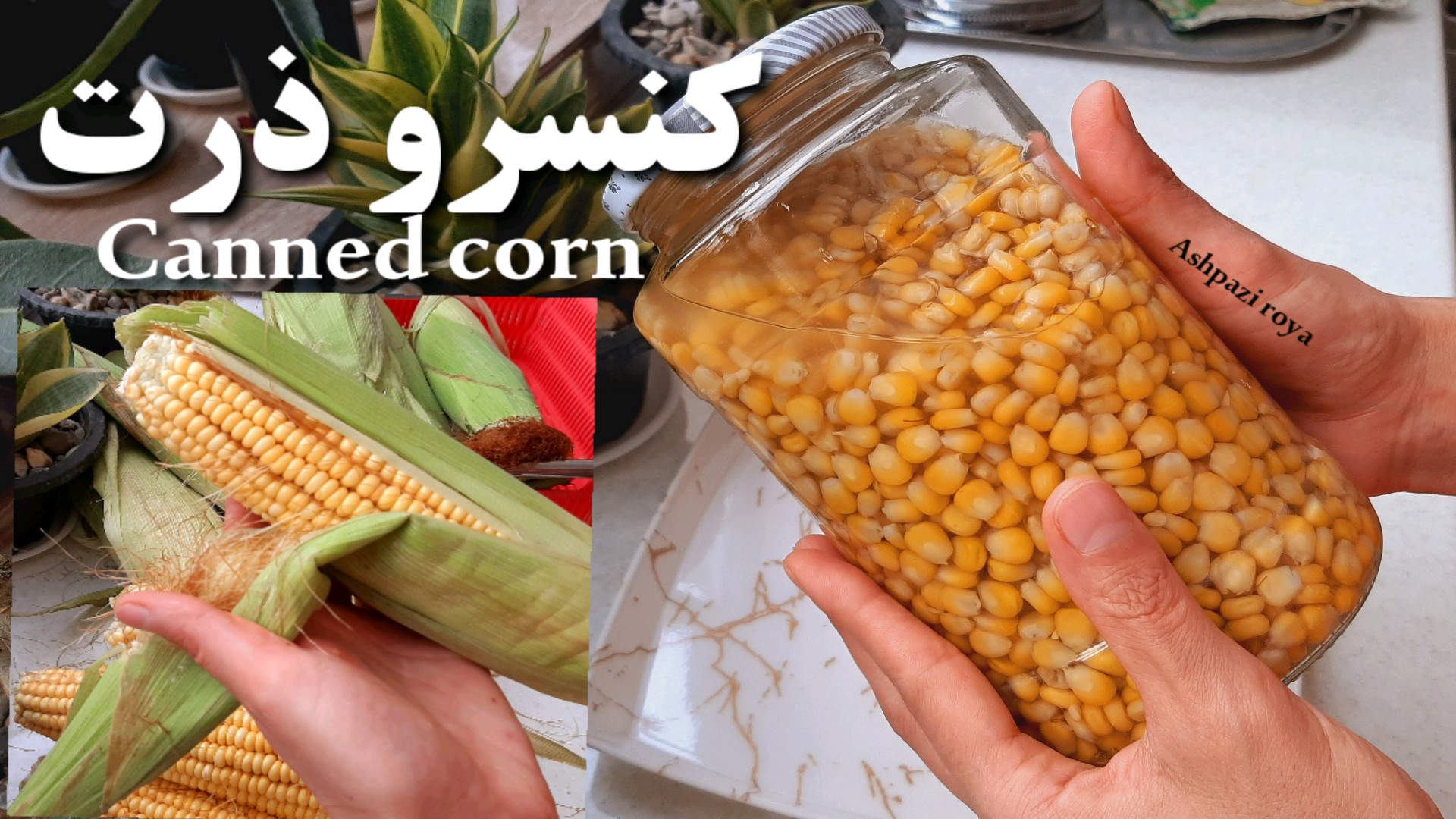 طرز تهیه کنسرو ذرت کنسرو ذرت ک...