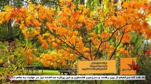 موزیک ویدئو بختیاری تک سوار