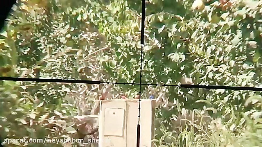 هدف زنی با pcp پانچر مکسی