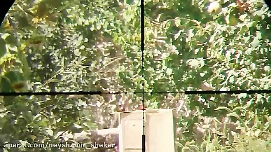 هدف زنی با pcp پانچر مکسی