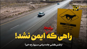 راهی که «برای یوز» ایمن نشد! راهی که «برای یوز» ایمن نشد!