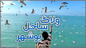 ایرانگردی | ولاگ ساحل بوشهر
