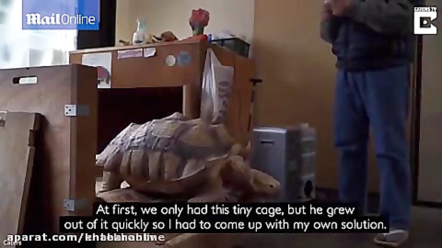 فیلم دوستی 20 ساله مرد ژاپنی و...