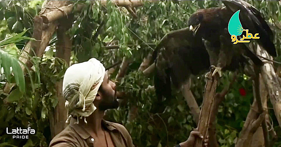 ادوپرفیوم لطافه شاهین