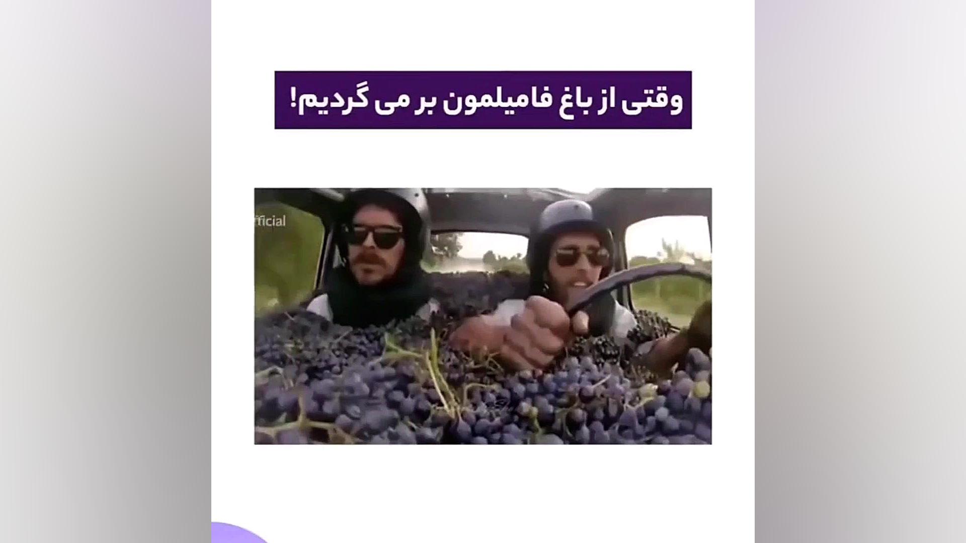 وقتی از باغ فامیل بر میگردیم