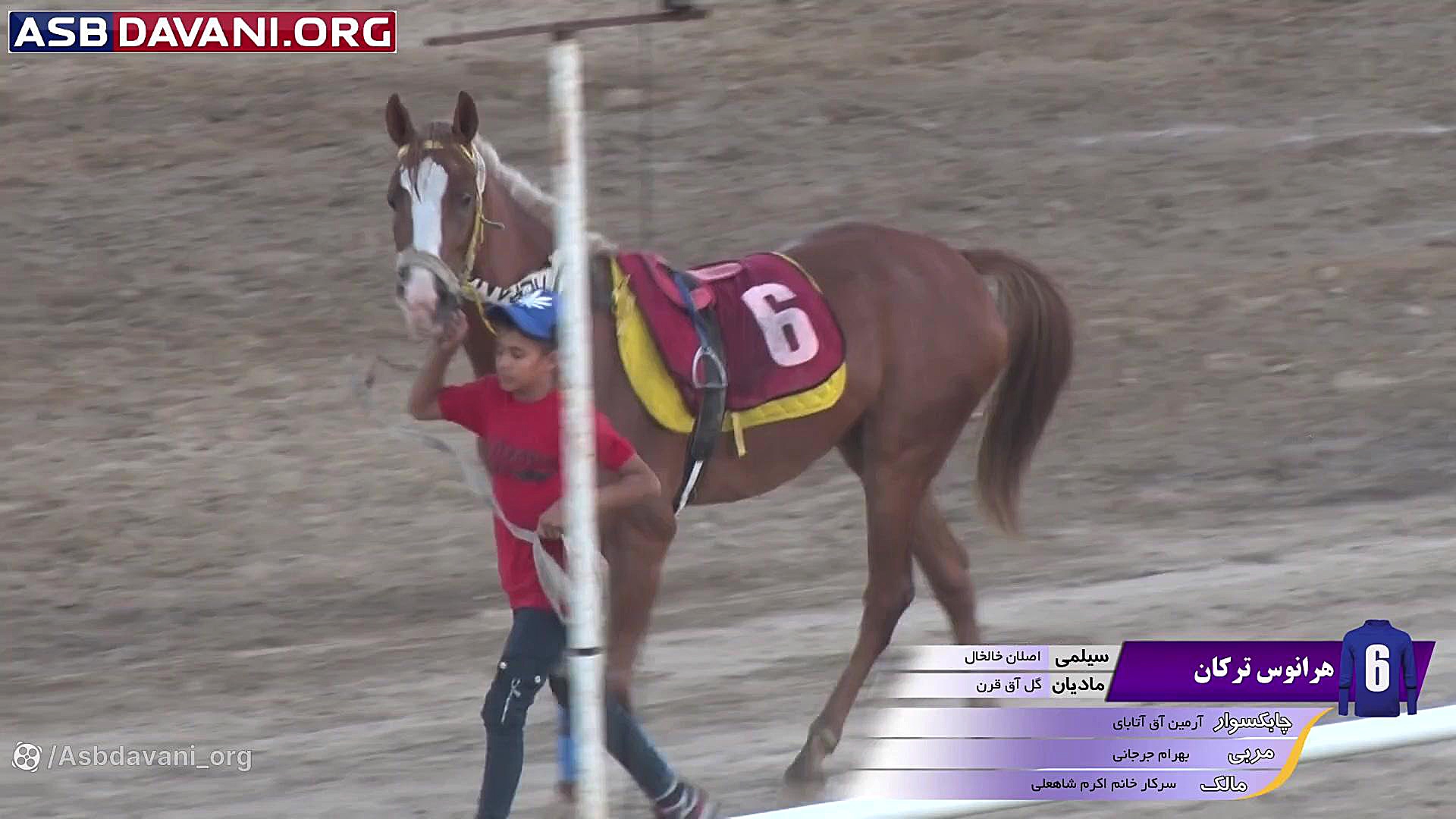 قهرمانی بای بای سلاق  دور 7 هف...