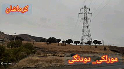 مورلکی دودنگی