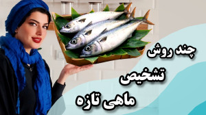 چطور تشخیص بدهیم ماهی تازه س ی...