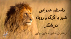 داستان همراهی شیر با گرگ و روب...