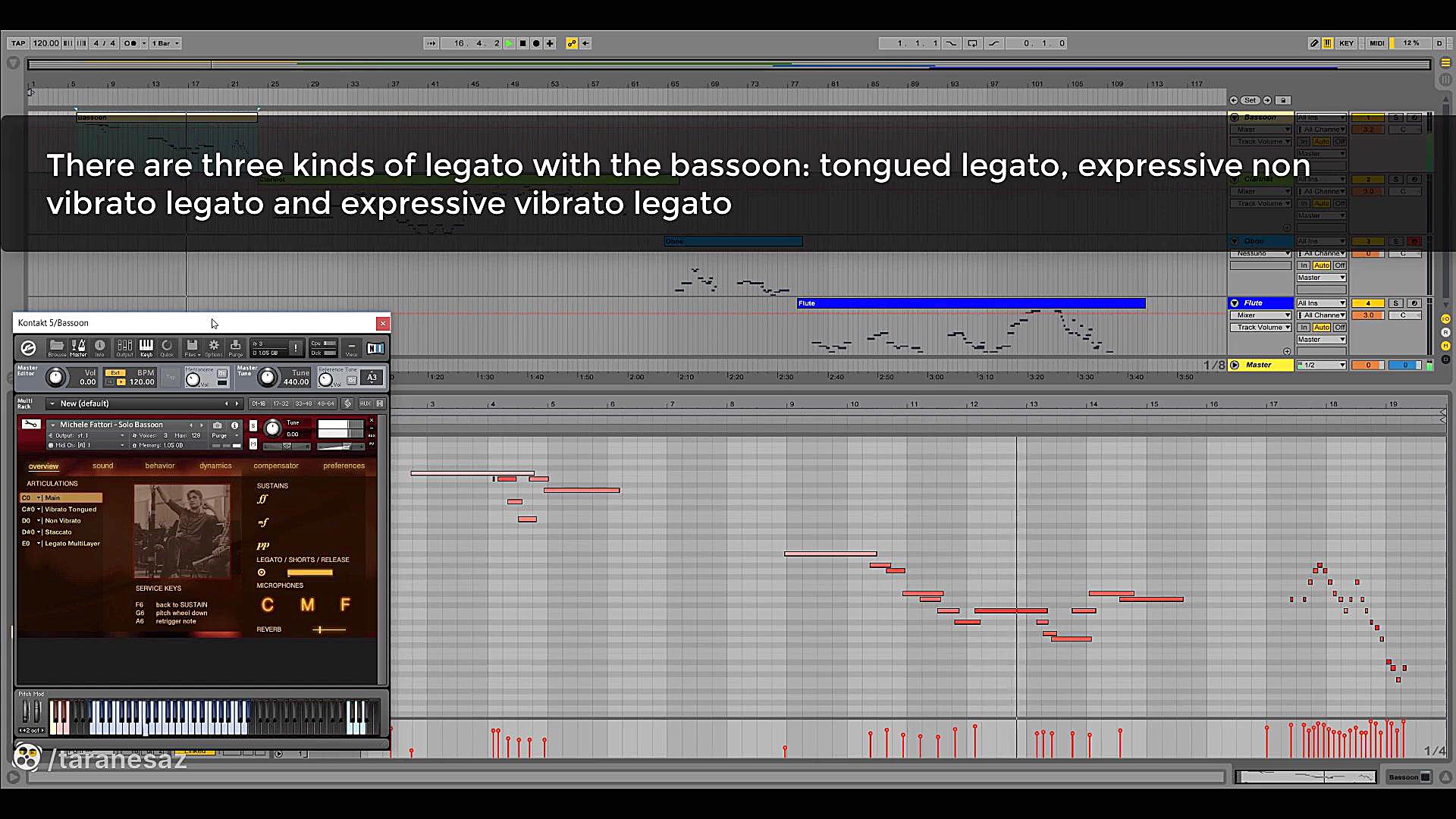 FluffyAudio Solo Woodwinds