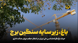 باغ، زیر سایۀ سنگین برج باغ، زیر سایۀ سنگین برج