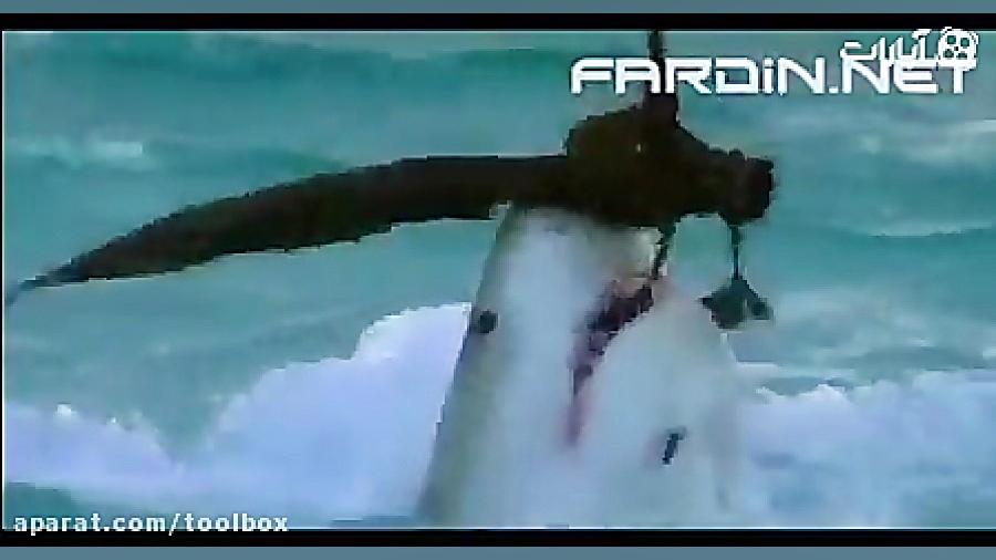 لحظه ی شکار پرنده توسط کوسه