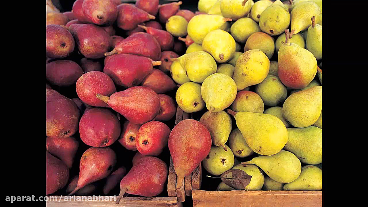 خاصیت گلابی برای سلامتی و پوست