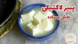 طرز تهیه پنیر خانگی
