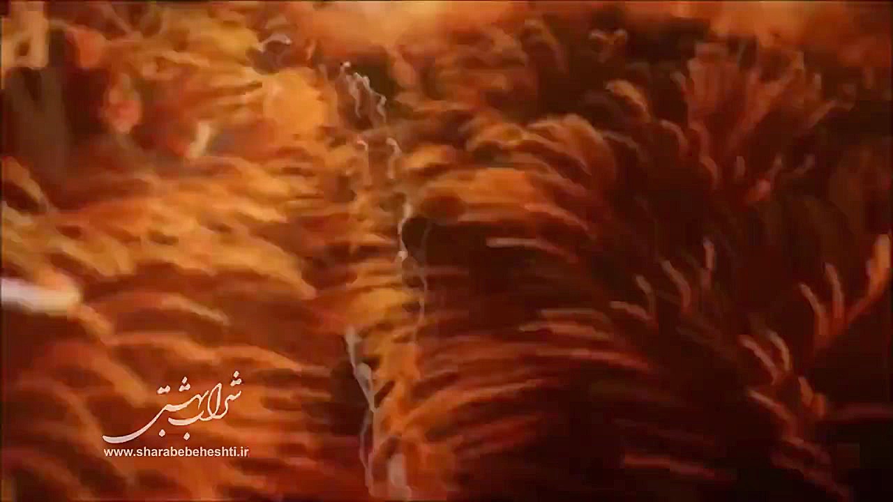 ویدیوکلیپ شراب بهشتی | شماره 0...