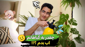 چطور گیاهان آپارتمانی را آبیار...