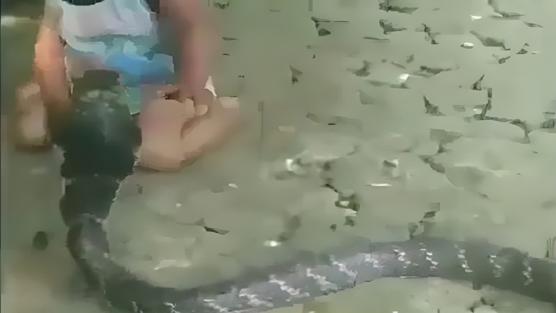 بازی باورنکردنی پسر بچه با مار...