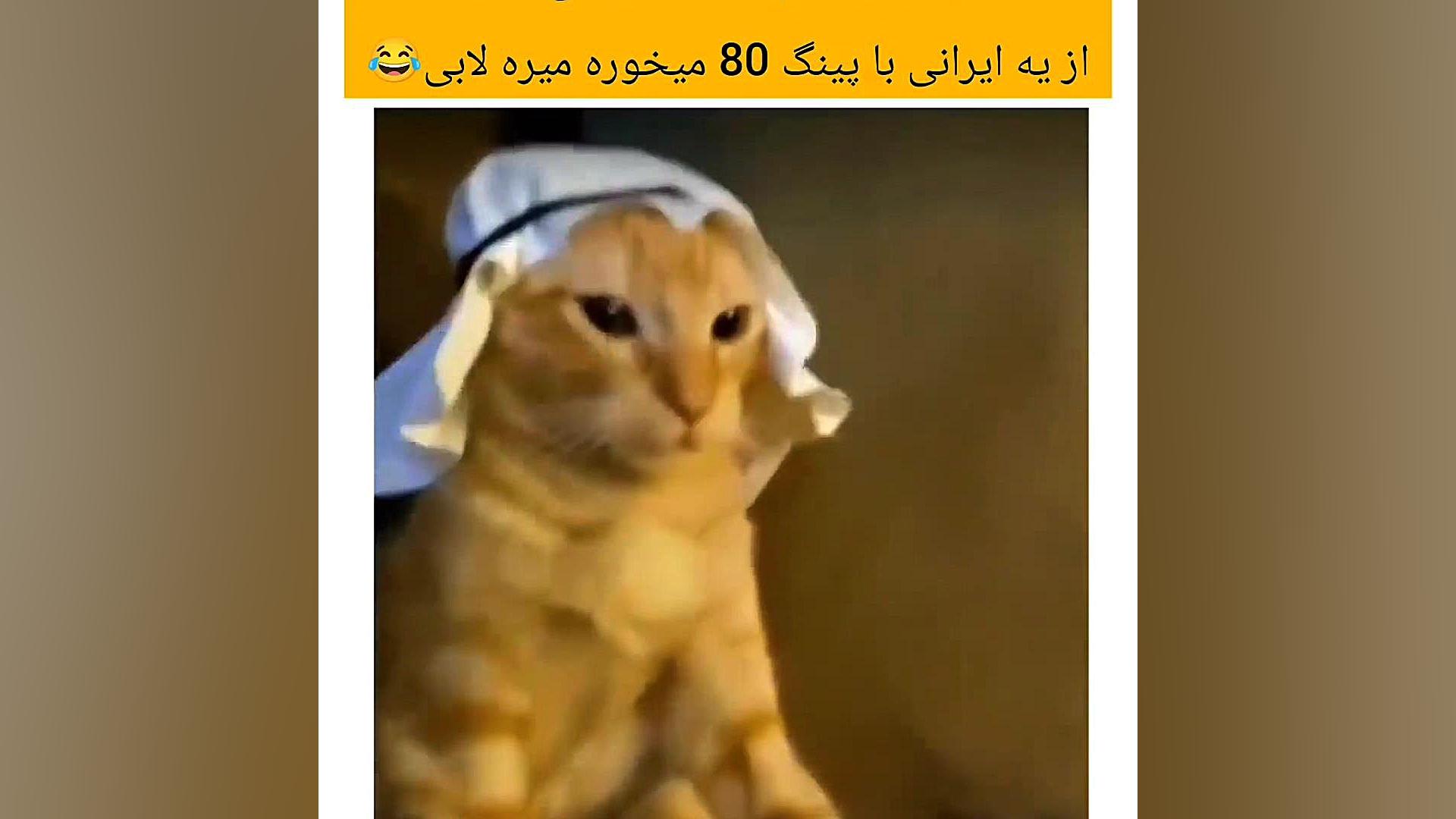 کالاف