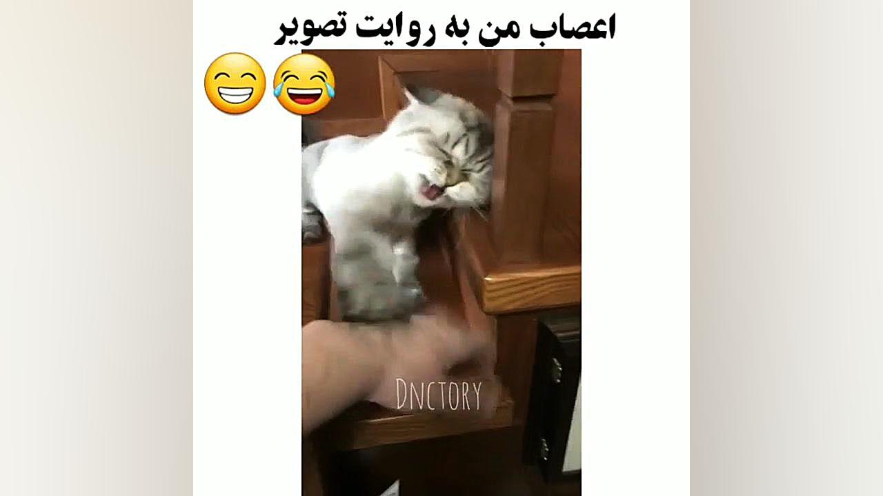 اعصاب من به روایت تصویر