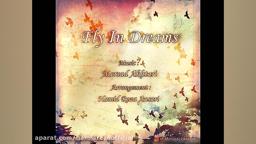 Hamid Reza Ansari  Fly In Drea...